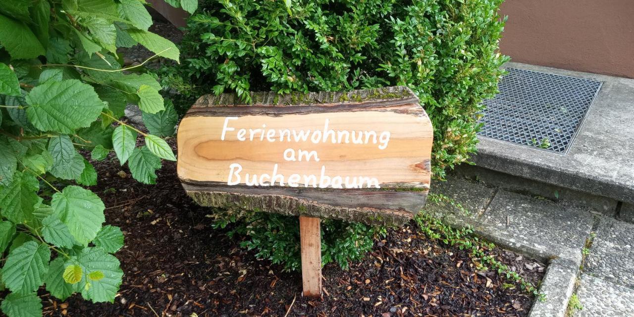 Ferienwohnung Am Buchenbaum Neuried  Екстериор снимка
